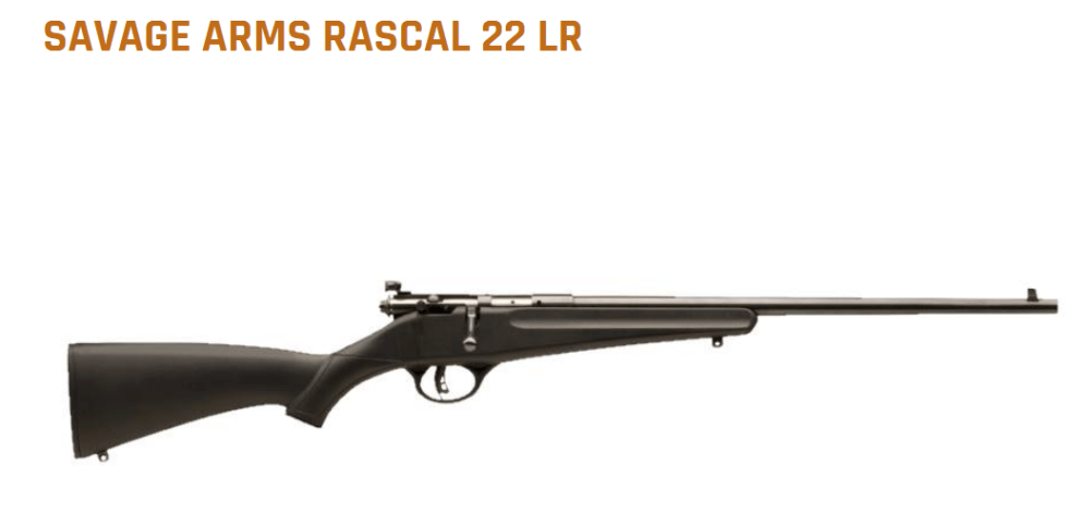 RASCAL 22LR SINGLE SHOT ACCUTRIGGER BLACK-img-0