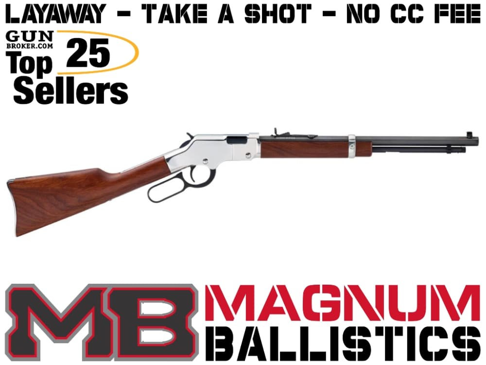 Henry Golden Boy Silver Youth 22LR H004SY-img-0
