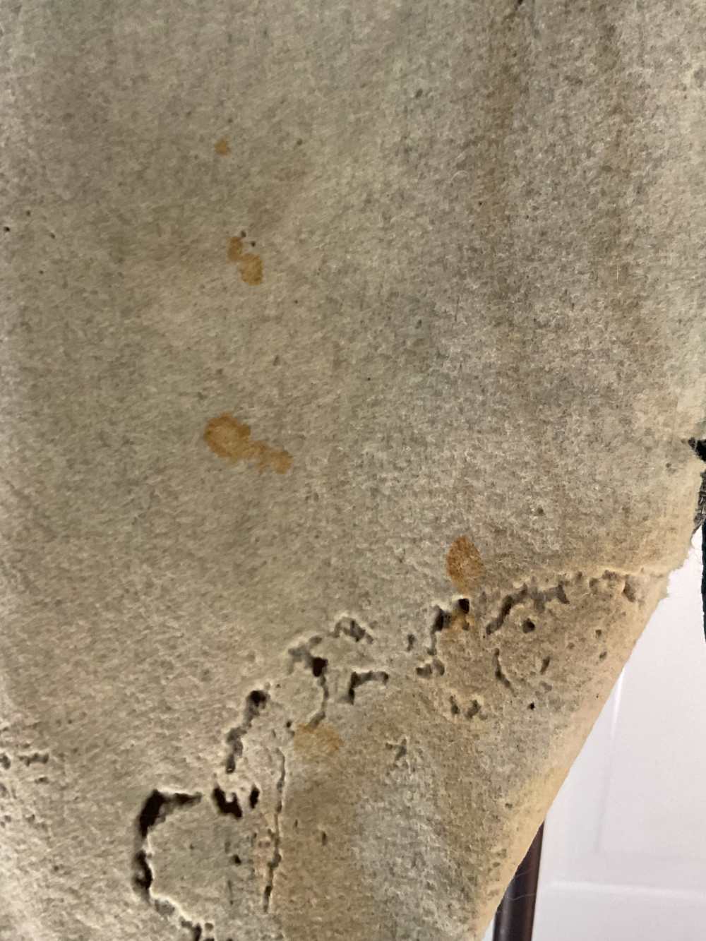 Napoleon 1st Empire National Guard Uniform 1791 - 1815 Buckskin Breeches-img-84