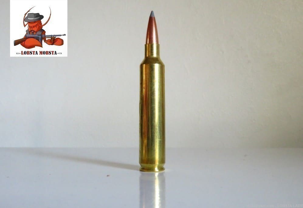 Nosler Trophy Grade AccuBond Long Range 175 Grain 28 Nosler 60155 -img-4