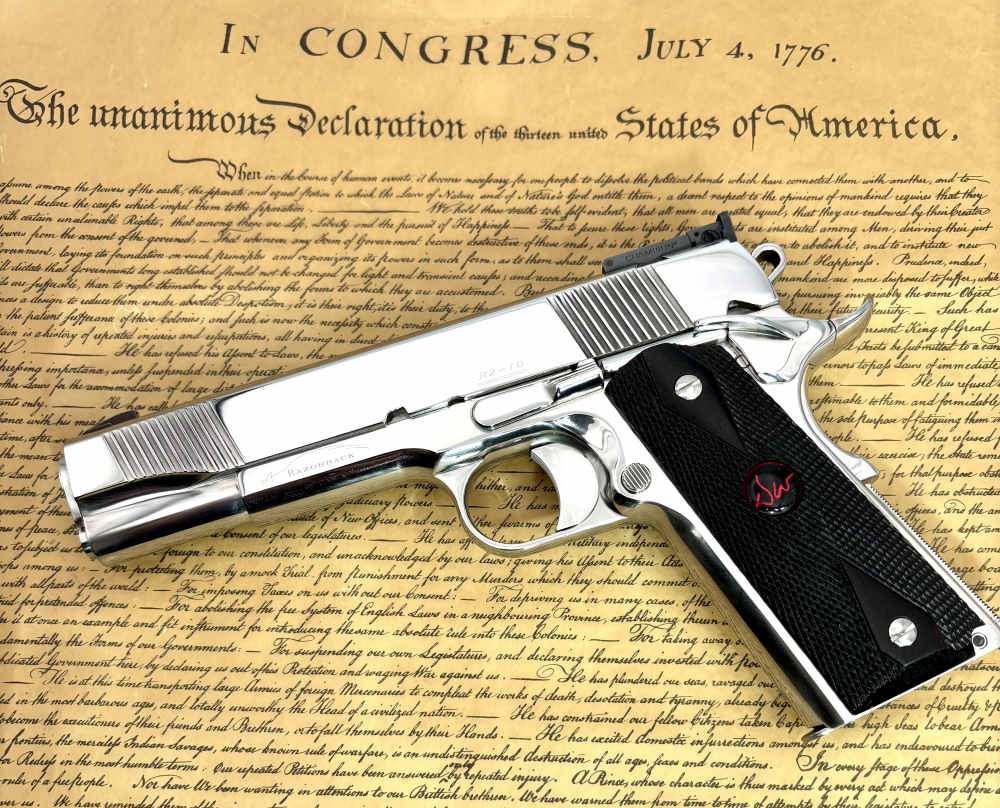 Dan Wesson Mirror Bright Polished Custom Shop Razorback serial# 154 OG grip-img-0