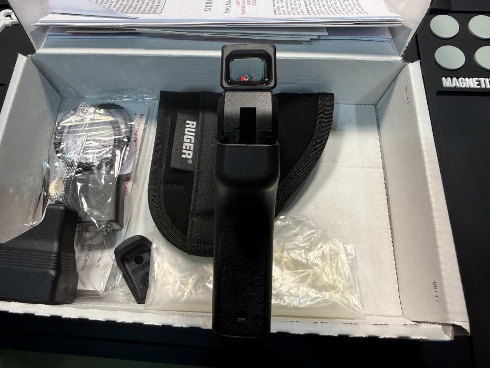 Ruger LCP Max with fiber optic red dot 380-img-2