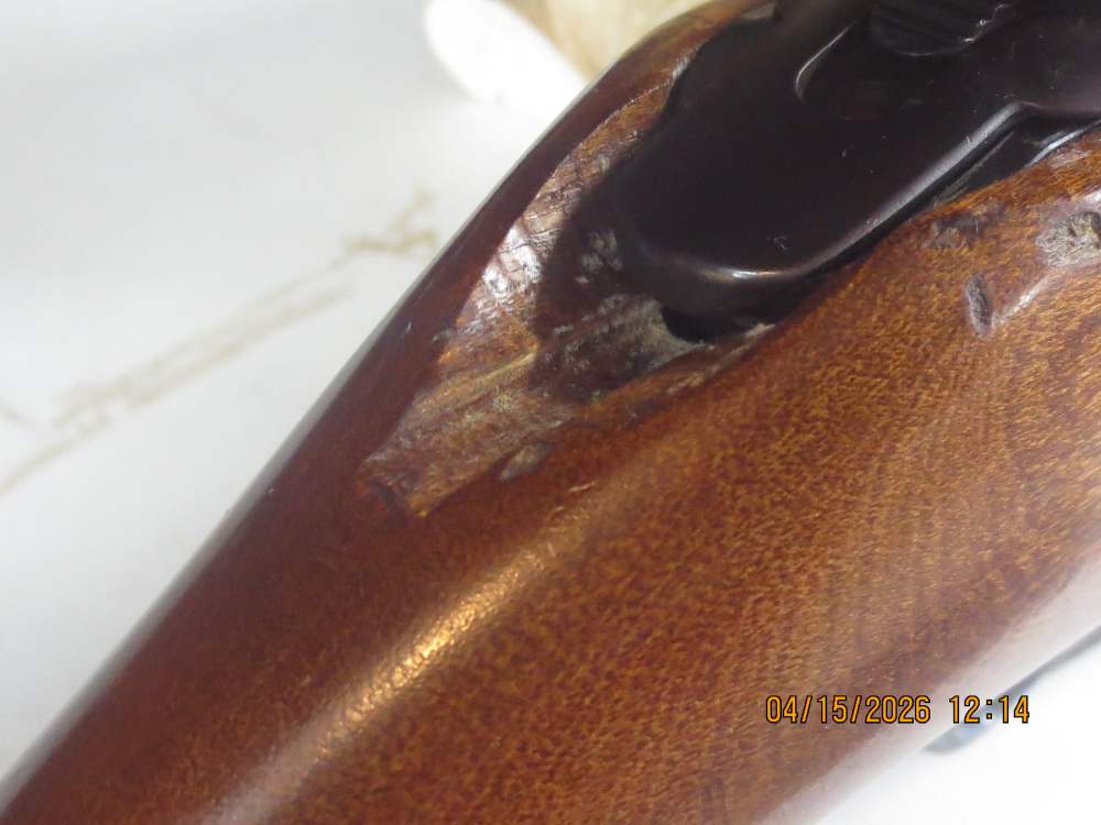 Mossberg 800B .243 Win w/Bushnell 3x9 Riflescope-img-3