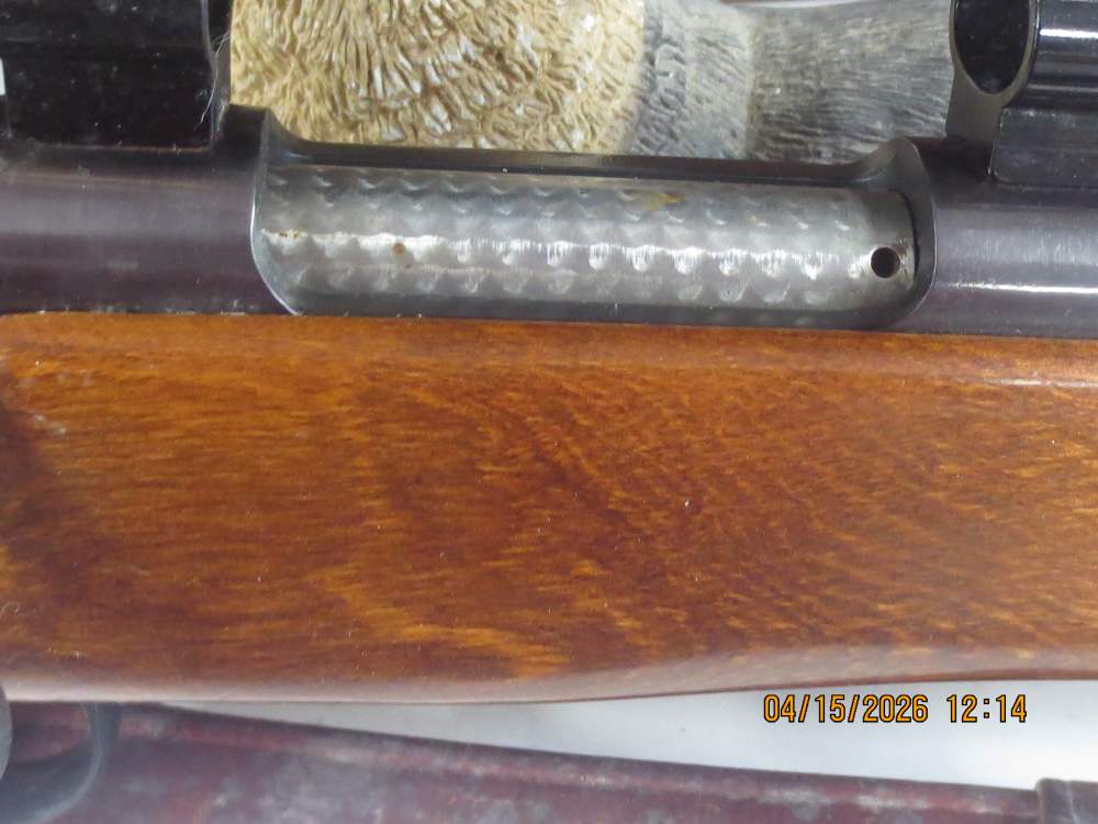 Mossberg 800B .243 Win w/Bushnell 3x9 Riflescope-img-4