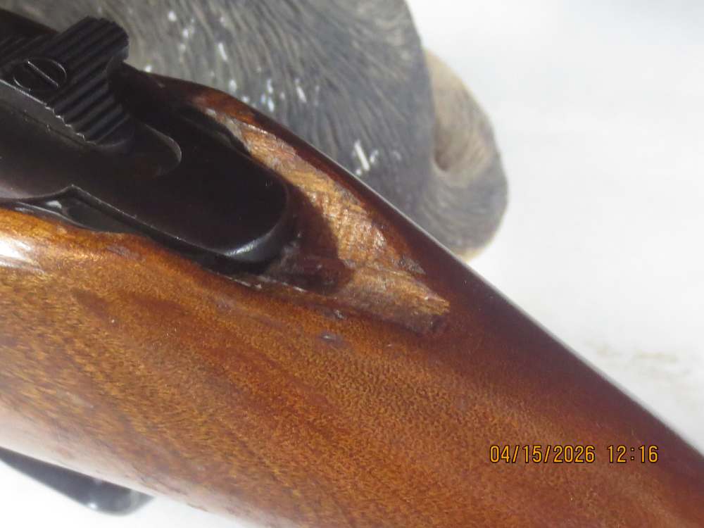Mossberg 800B .243 Win w/Bushnell 3x9 Riflescope-img-13