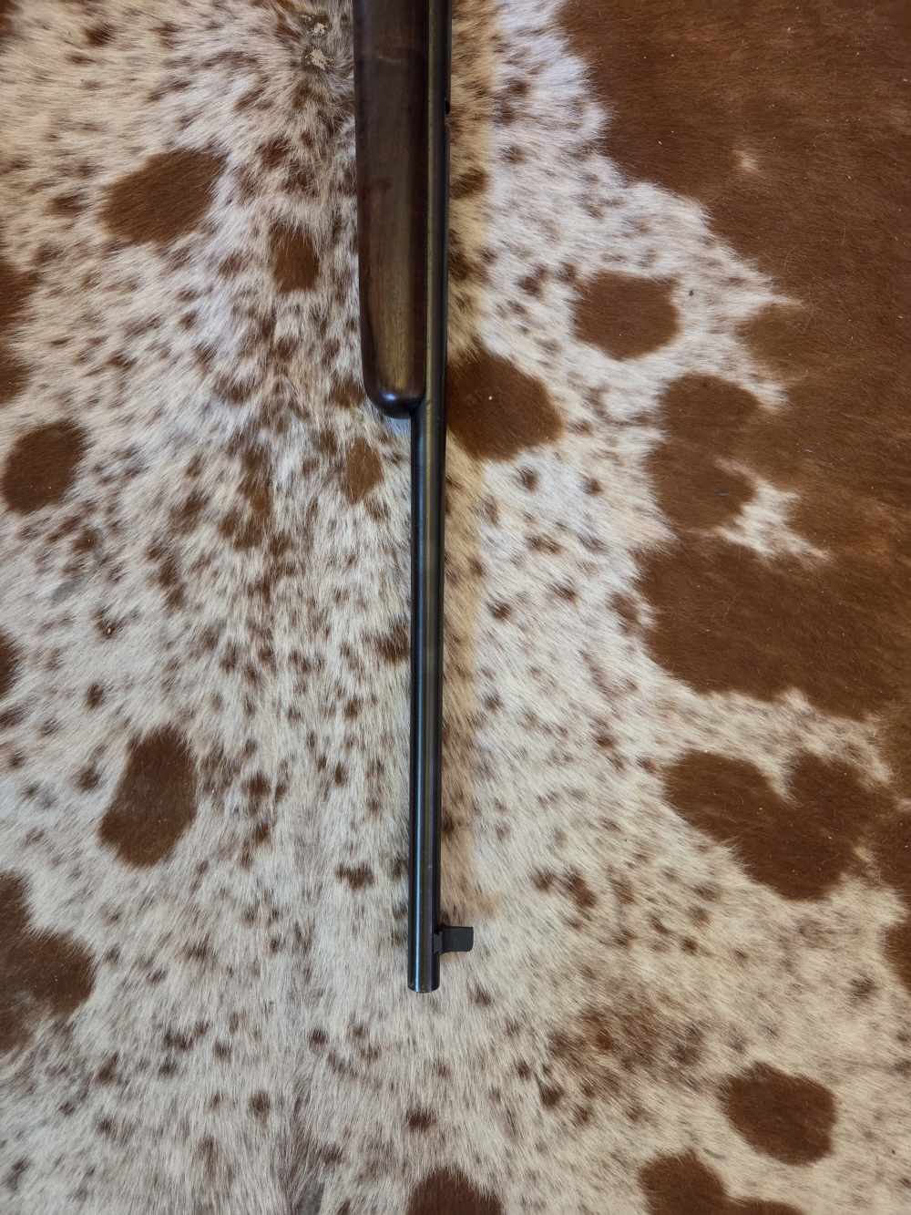 Sears 282.527740 .22LR-img-3