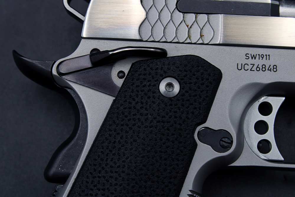 Smith & Wesson SW1911 E-Series .45 ACP 5" Government 1911-img-5