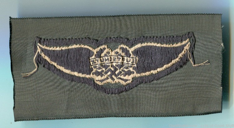 German WWII LUFTSCHUTZ Overseas EM Insignia-img-1