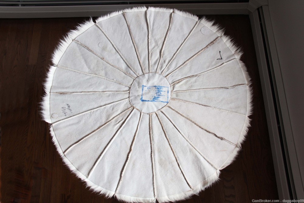 African Springbok pelt - EXCELLENT condition.-img-3