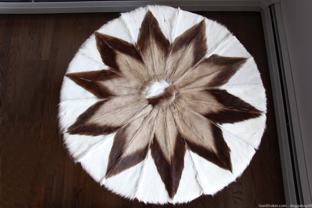 African Springbok pelt - EXCELLENT condition.-img-0