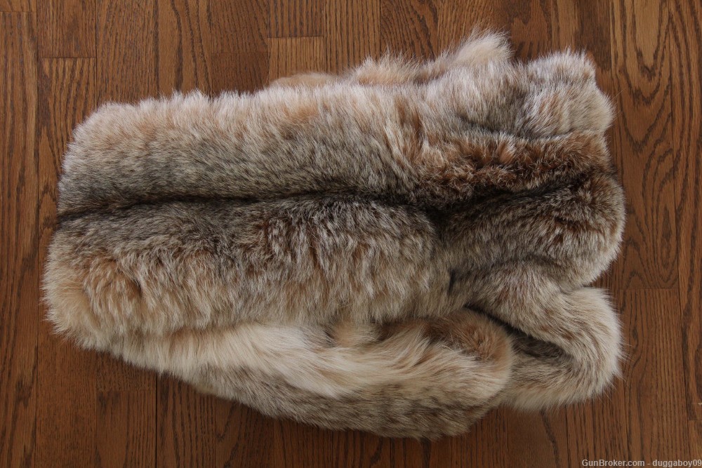 Alaskan Lynx pelt - EXCELLENT condition.-img-3