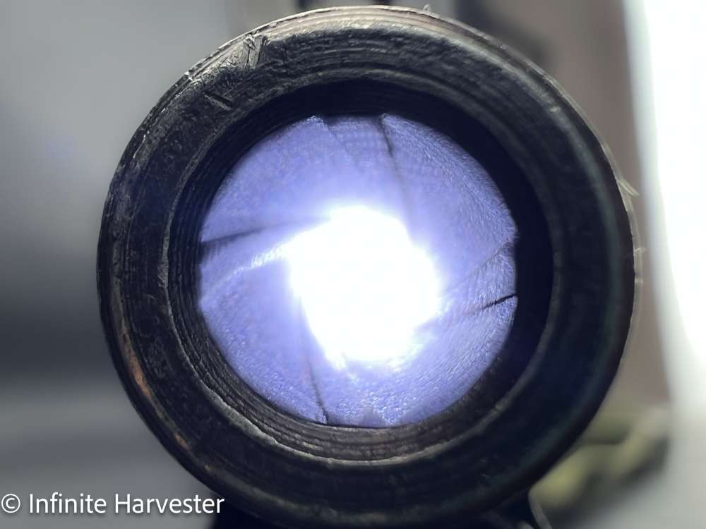 M1 Garand-img-10