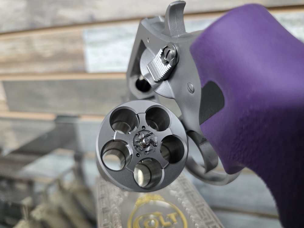 Charter Arms Pitbull .45 ACP | Stainless Steel | 5-Shot -img-4