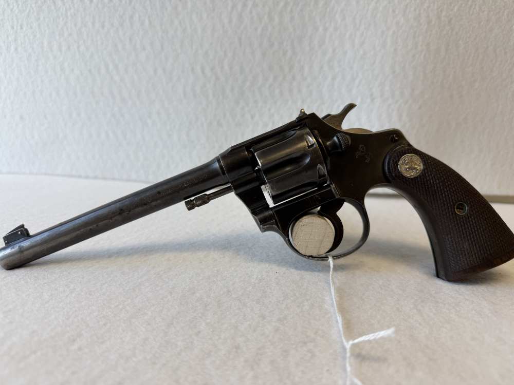 Colt Police Positive Target -img-0
