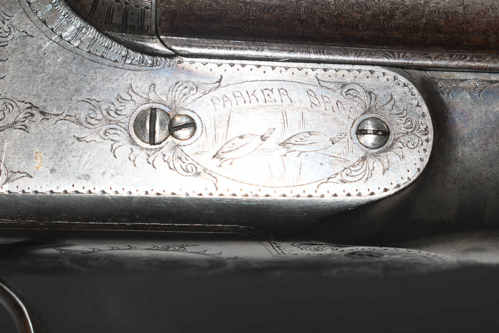 Parker VH SxS Boxlock Shotgun 30" Damascus 2 1/2" 12 G #2 Frame 1900 C&R-img-27