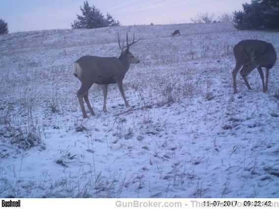 2026 Nebraska Mule Deer/Whitetail hunt 100% tags.-img-20