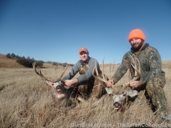 2026 Nebraska Mule Deer/Whitetail hunt 100% tags.-img-13