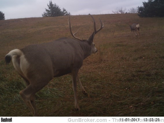 2026 Nebraska Mule Deer/Whitetail hunt 100% tags.-img-18