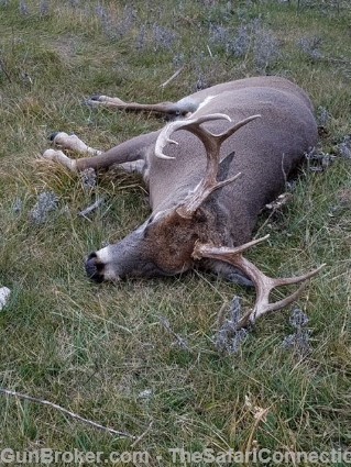 2026 Nebraska Mule Deer/Whitetail hunt 100% tags.-img-8