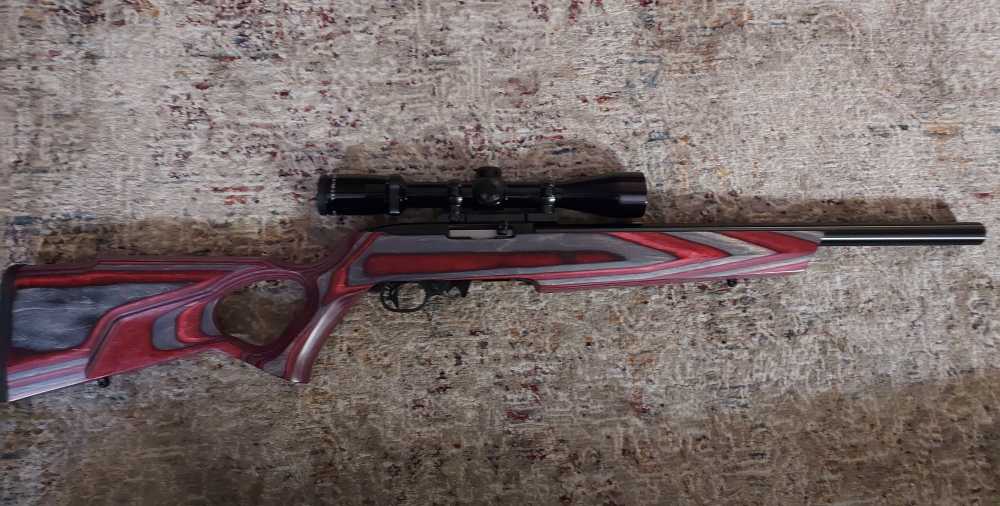 Ruger Full Custom 10-22, EVERY PART IS CUSTOM!-img-2