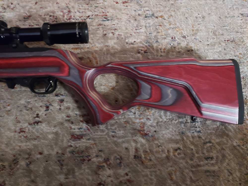 Ruger Full Custom 10-22, EVERY PART IS CUSTOM!-img-9