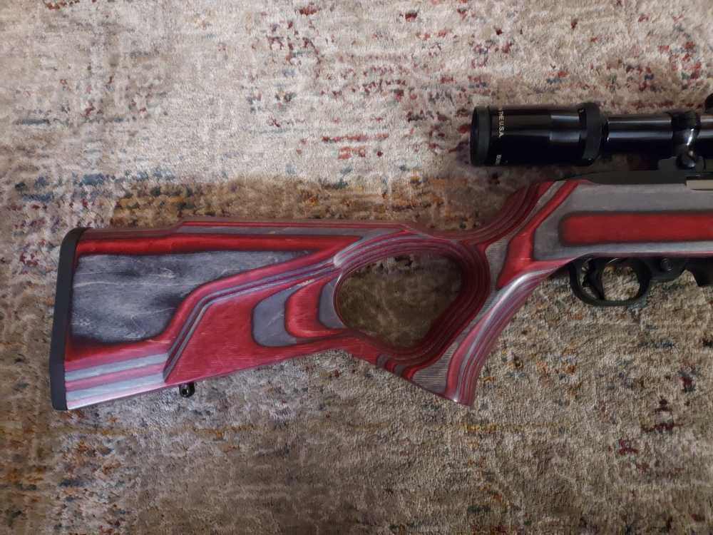 Ruger Full Custom 10-22, EVERY PART IS CUSTOM!-img-1