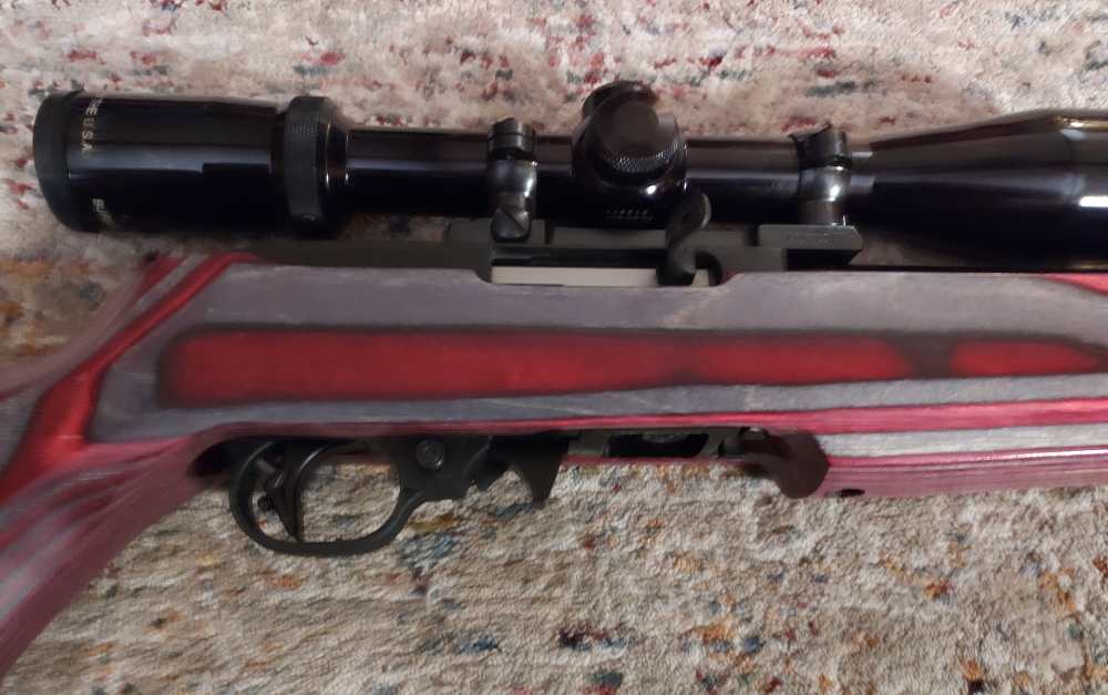 Ruger Full Custom 10-22, EVERY PART IS CUSTOM!-img-0