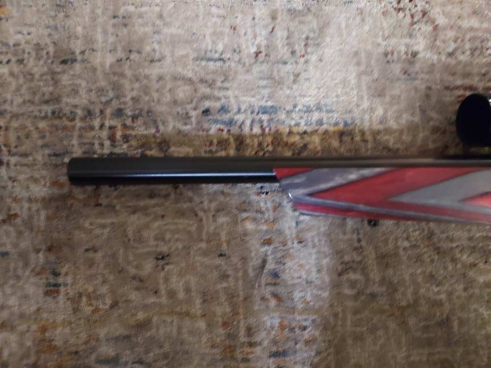 Ruger Full Custom 10-22, EVERY PART IS CUSTOM!-img-13