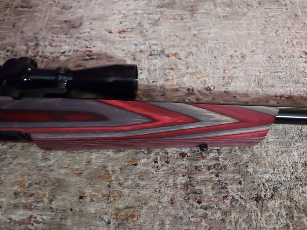 Ruger Full Custom 10-22, EVERY PART IS CUSTOM!-img-5