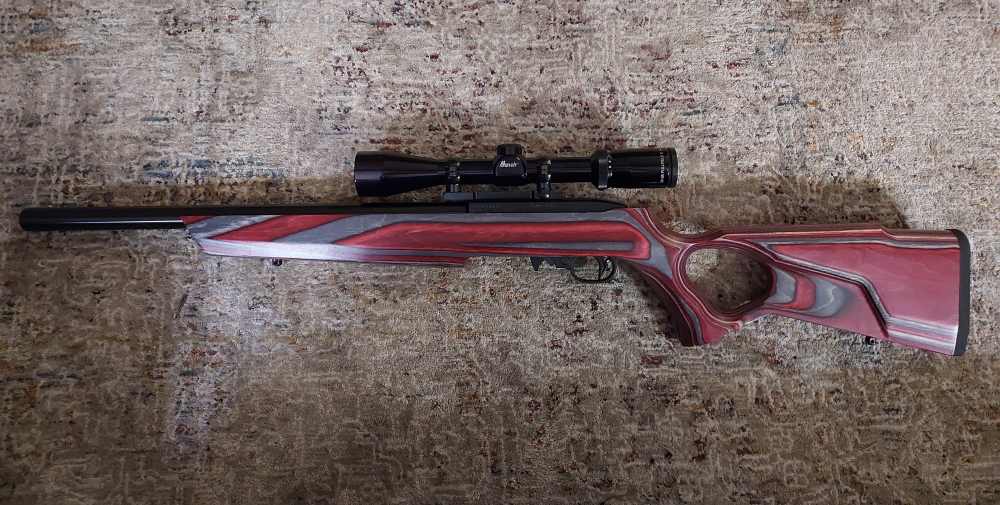 Ruger Full Custom 10-22, EVERY PART IS CUSTOM!-img-8