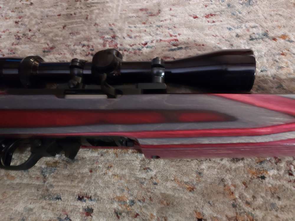 Ruger Full Custom 10-22, EVERY PART IS CUSTOM!-img-4