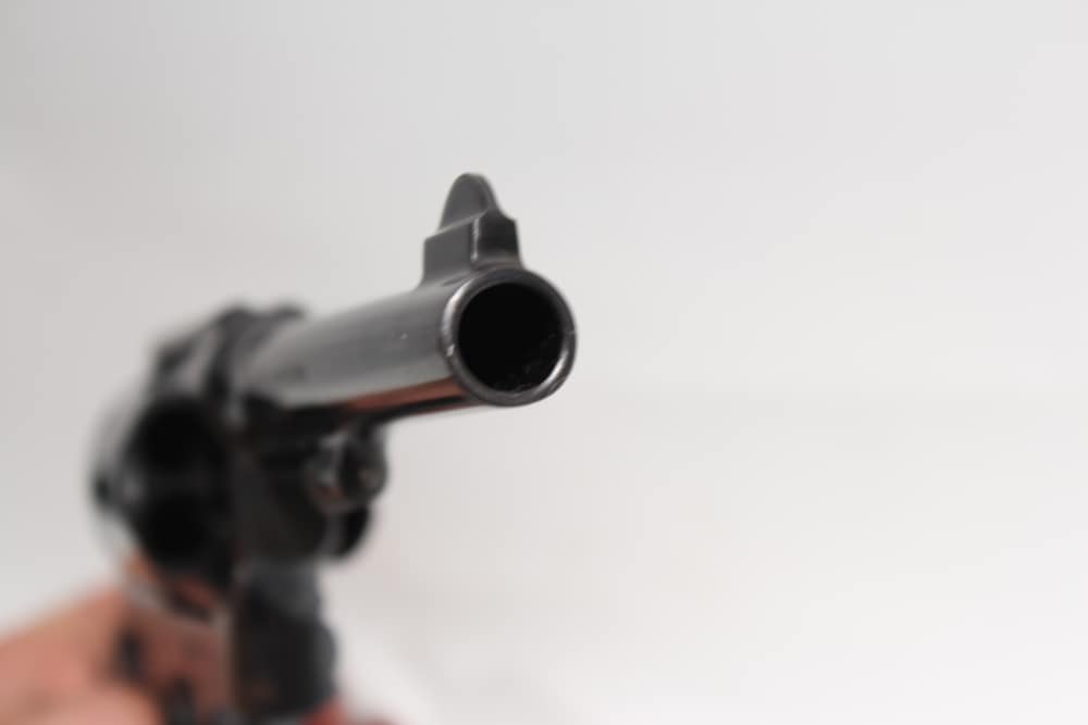 Smith & Wesson 1917 Commercial 45 AP -img-8