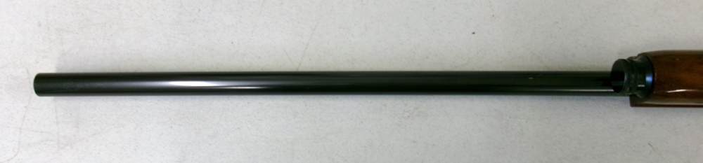 Browning A-5 12 ga. Magnum.  31.5” vent rib barrel. Made in Belgium in 1963-img-13