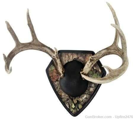 Allen Big Buck Trophy Mount Kit Mossy Oak-img-1