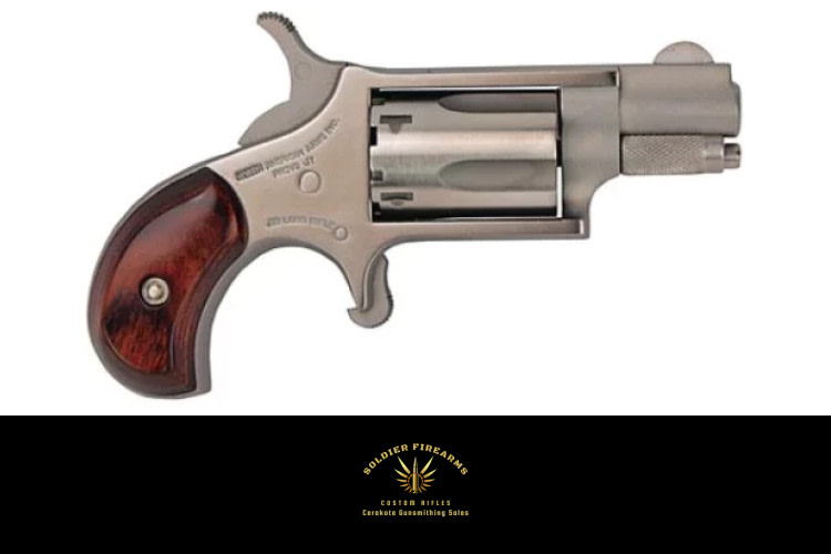 NORTH AMERICAN ARMS MINI 22LR REV 1-1/8" SS-img-0
