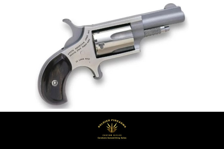NORTH AMERICAN ARMS MINI 22LR REV 1-5/8" SS-img-0