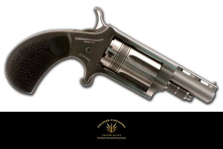 NORTH AMERICAN ARMS THE WASP 22MAG REV 1-5/8" SS-img-0