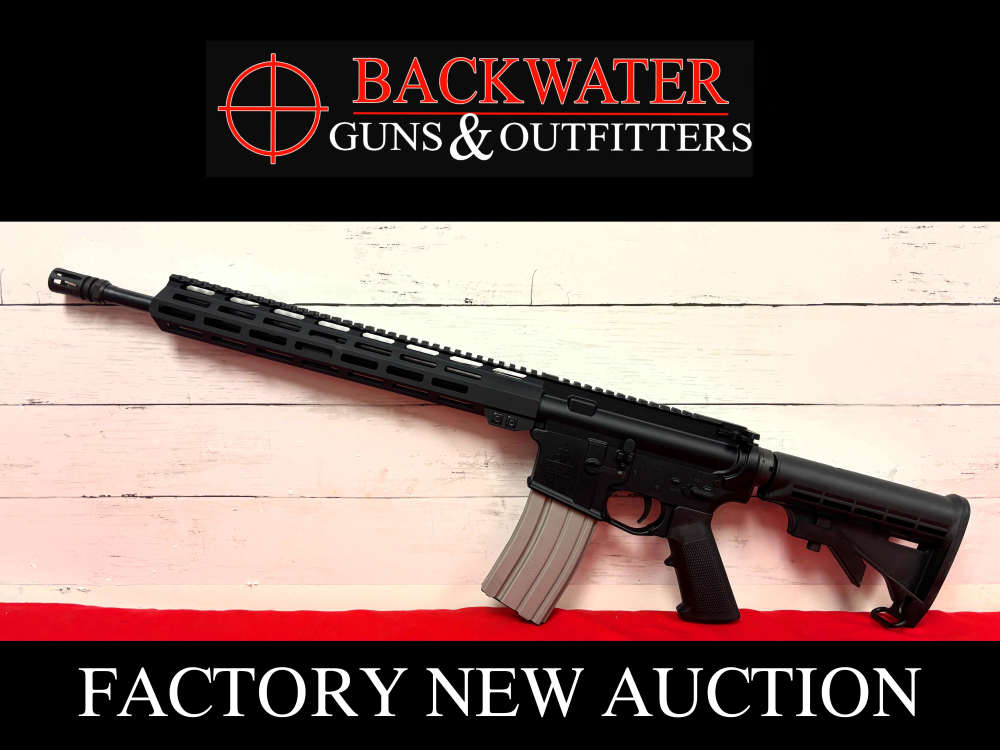 Factory New Del Ton Echo 316L 5.56 NATO Rifle No Reserve!-img-0