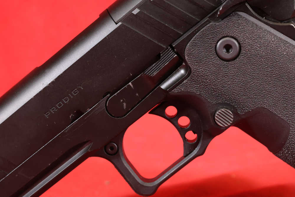 Springfield Prodigy-img-4