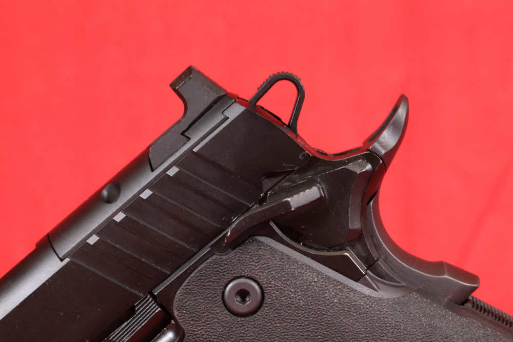 Springfield Prodigy-img-5