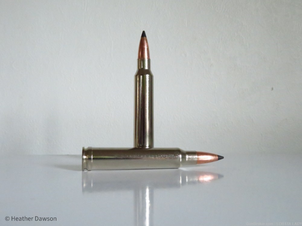300 WIN MAG 180 grain FEDERAL PREMIUM TROPHY COPPER MEAT EATER P300WTC1-img-3