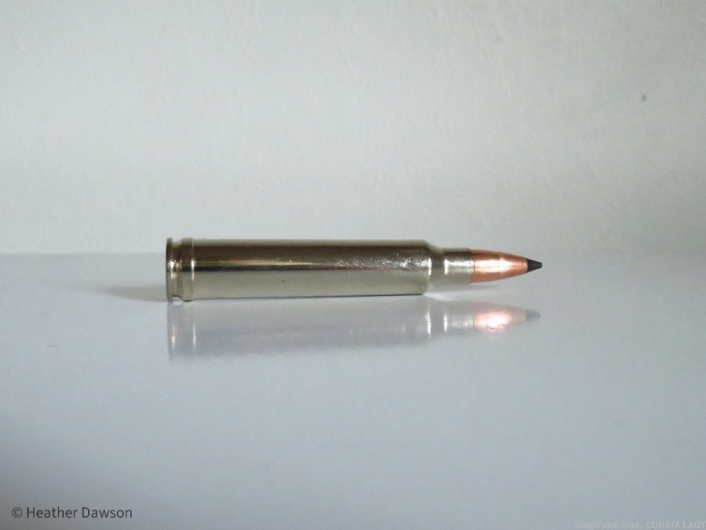 300 WIN MAG 180 grain FEDERAL PREMIUM TROPHY COPPER MEAT EATER P300WTC1-img-4