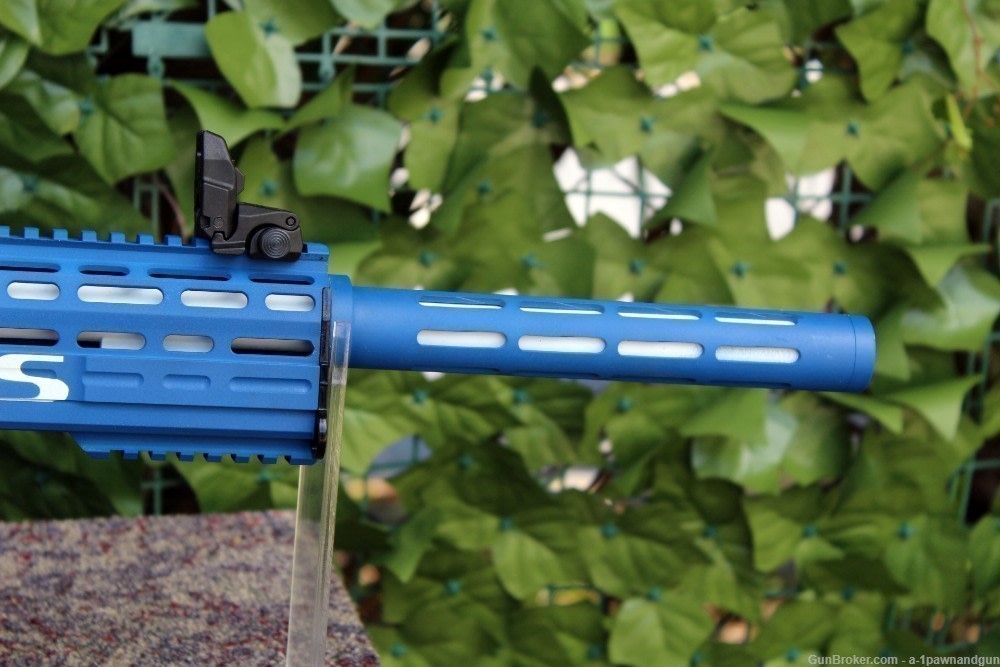 AR Style 12 Gauge Fear 116 "Tampa Bay Rays " Custom Duracoat New (Cerakote)-img-1