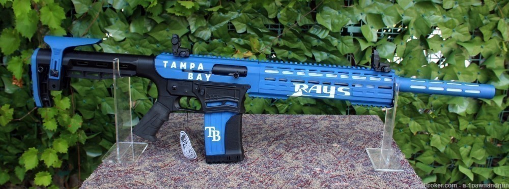 AR Style 12 Gauge Fear 116 "Tampa Bay Rays " Custom Duracoat New (Cerakote)-img-0