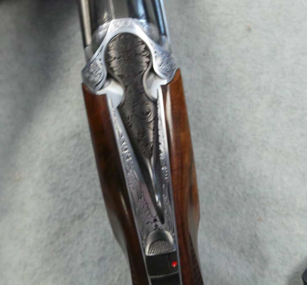 Rizzini Artimus-img-6