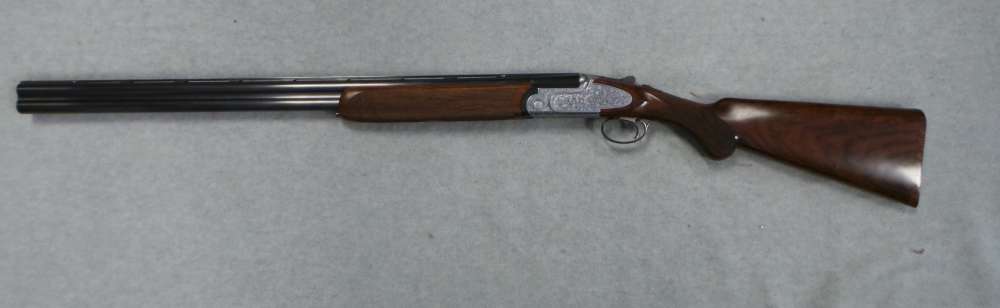 Rizzini Artimus-img-0