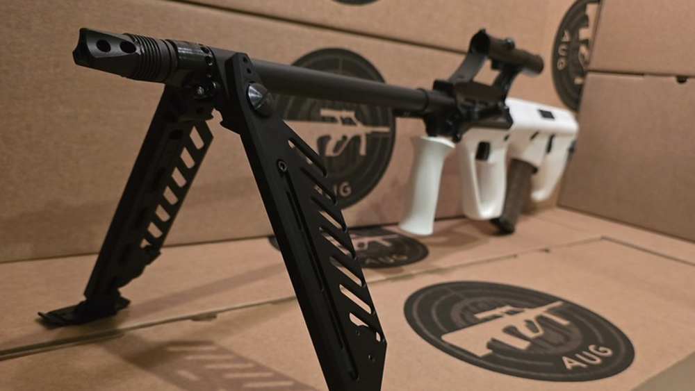 AUG Steyr Arms rifle-img-2