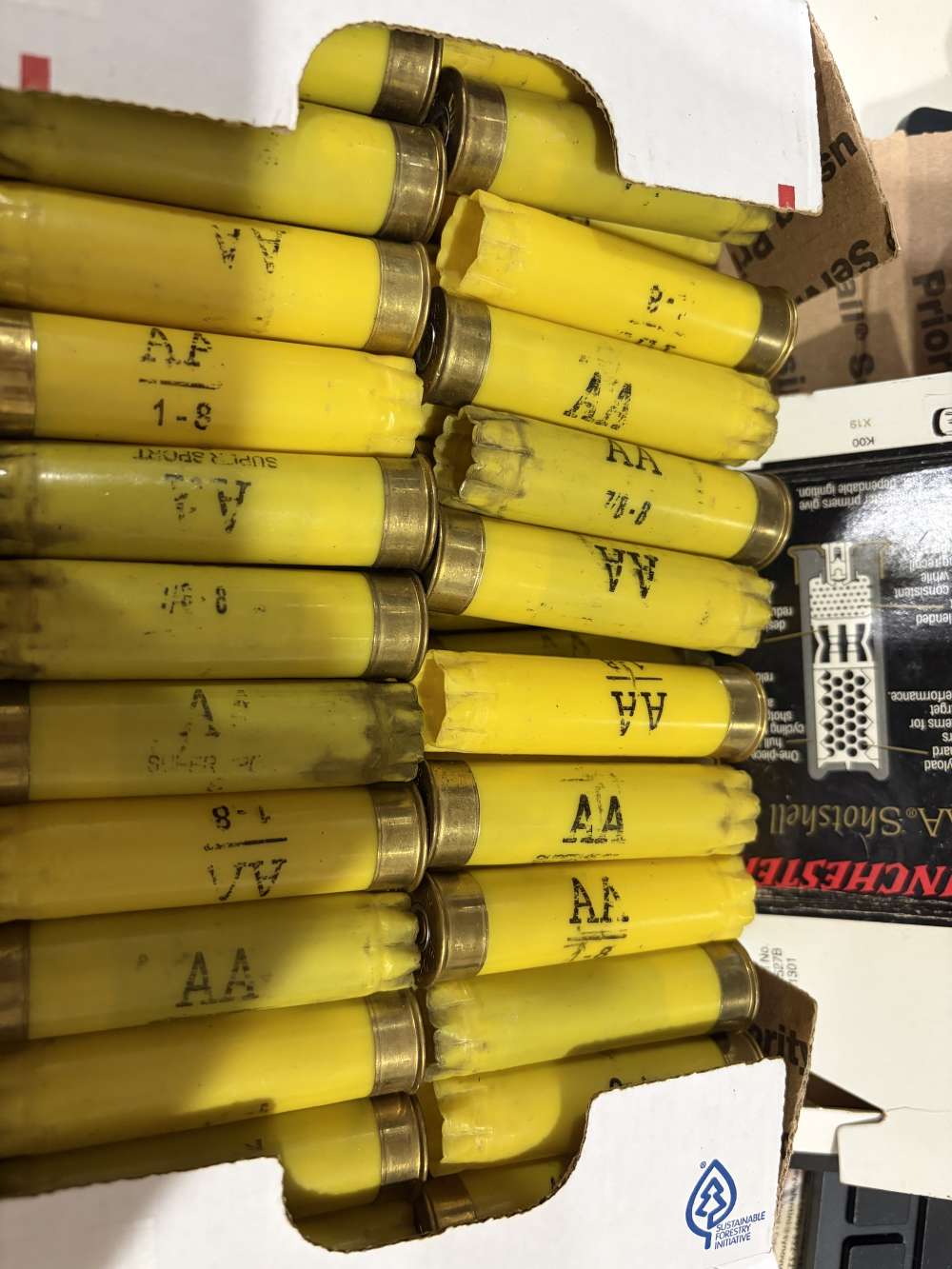 AA 20 gauge Winchester hulls  (48)-img-1