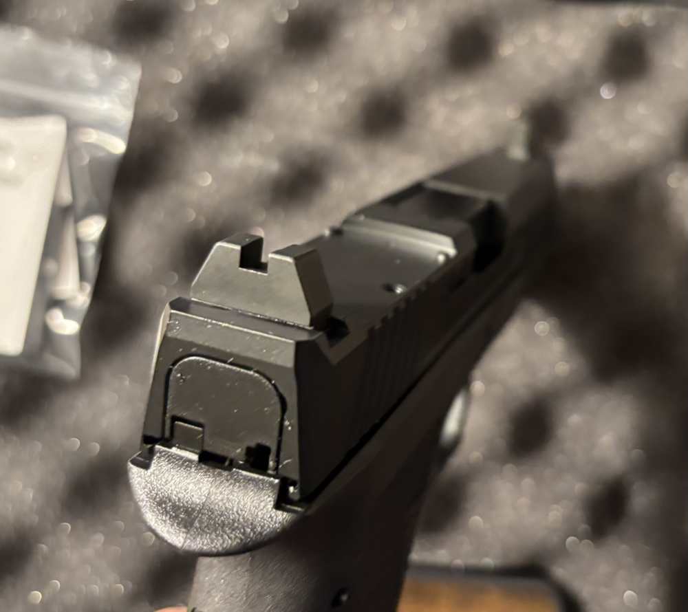 Brand New Palmetto State Armory Dagger Compact 9mm (Similar Glock 19 Gen 3)-img-5