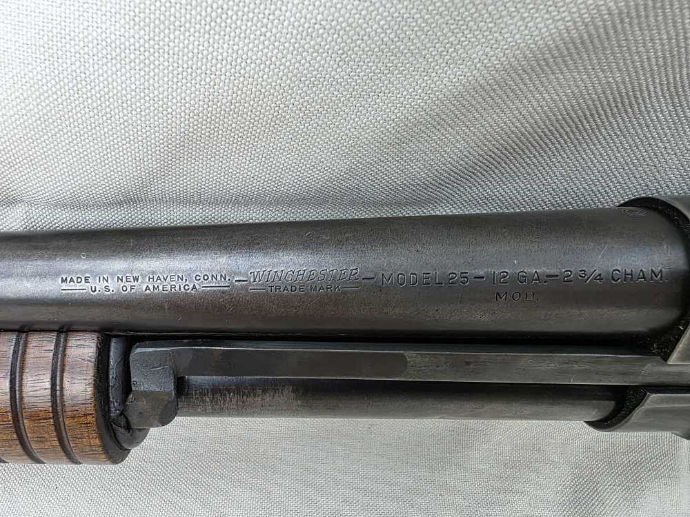 Winchester Model 25 12Ga-img-7
